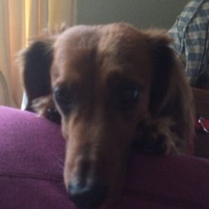 Meet your Posher, Tabitha